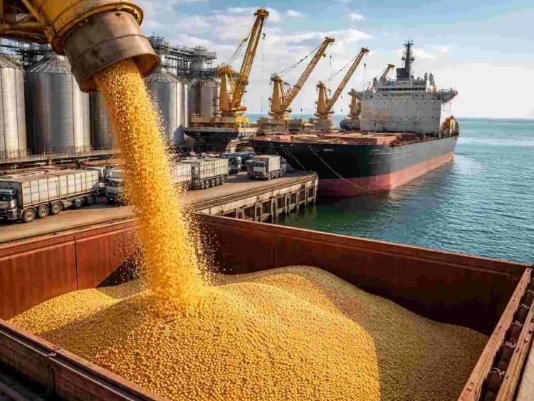 Las exportaciones de Entre Ríos crecieron 31% en 2025 y consolidan un inicio de 2026 en alza - imagen de origen