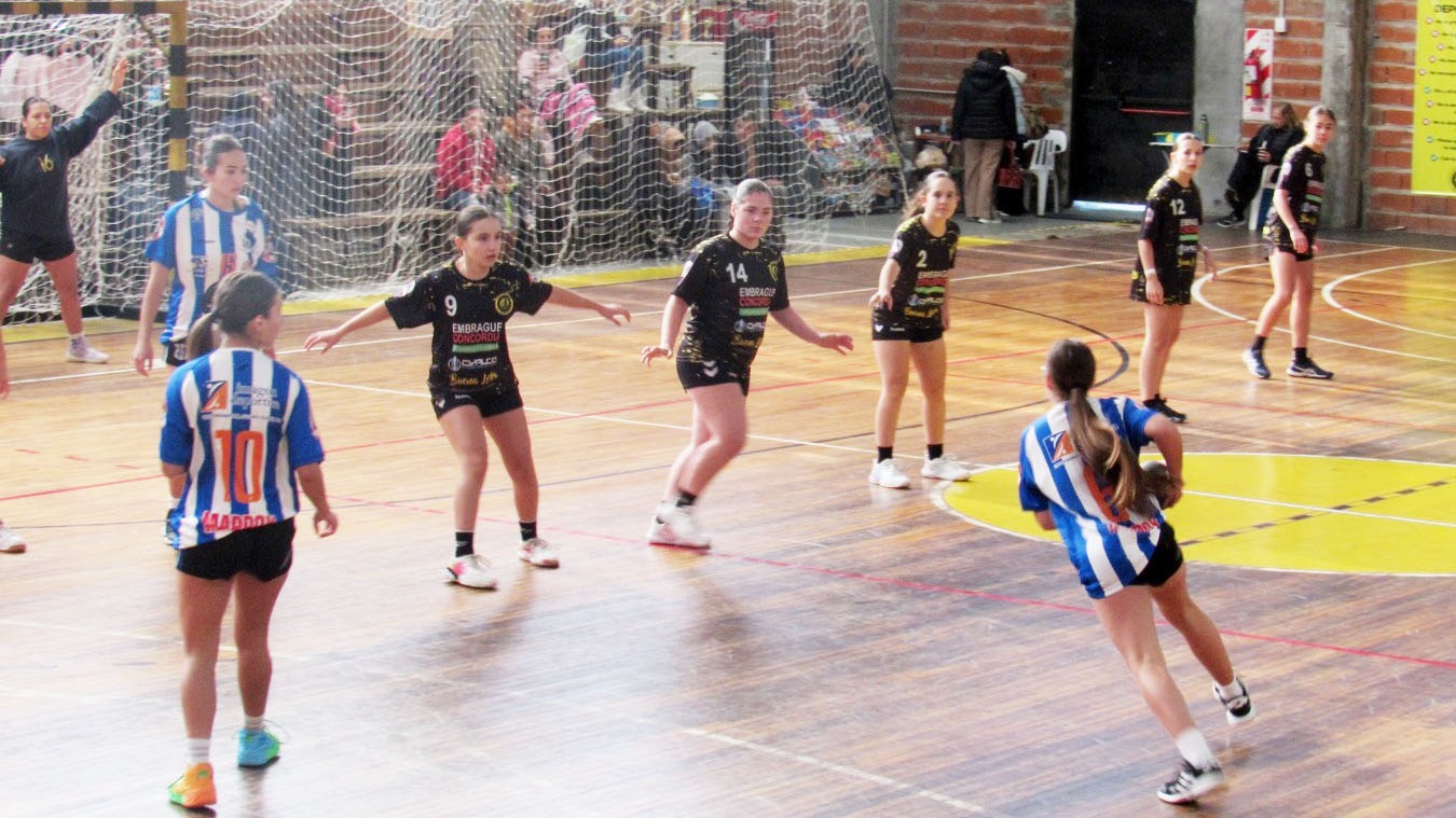 Handball: Gran fin de semana de las categorías formativas en Concordia y Paraná - imagen de origen