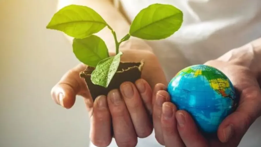 Día Mundial del Medio Ambiente: ¿por qué se celebra el 5 de junio? | Análisis - imagen de origen
