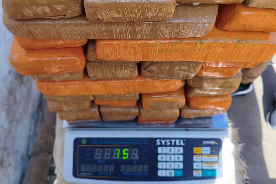Rosario: imputaron a un hombre por la tenencia para comercialización de 181 ladrillos de marihuana descubiertos en una carnicería de Serodino - imagen de origen