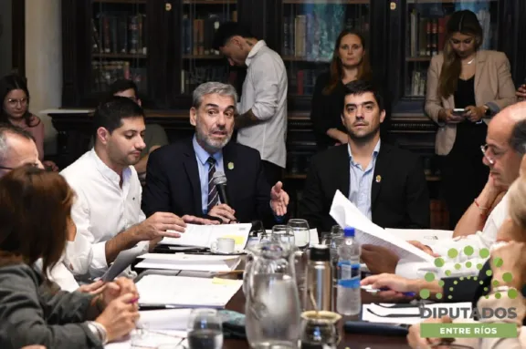 Bagnat y Boleas defenderán en el Senado el proyecto de reforma previsional - imagen de origen