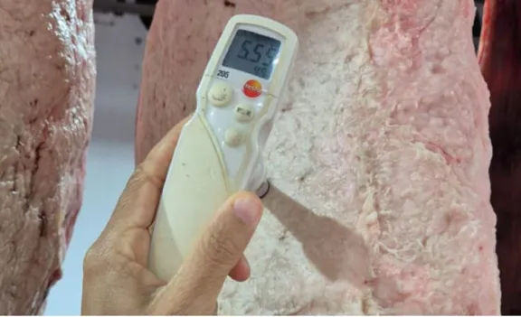 Se decomisó carne y se detectaron infracciones por caza furtiva en Tala - imagen de origen