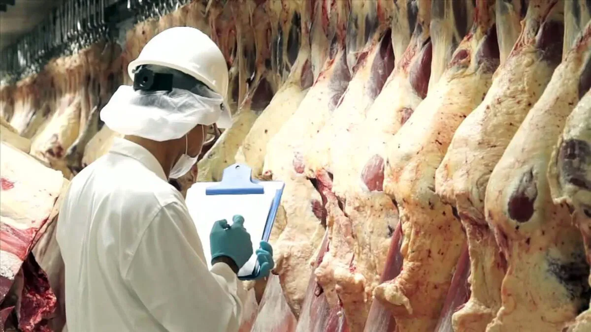 El consumo de carne vacuna cayó a su nivel más bajo en dos décadas - imagen de origen