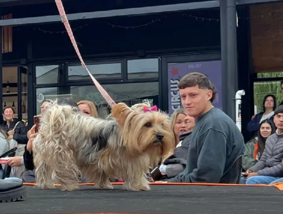 Ani, José y Mila ganaron el desfile del Guanimal Day - imagen de origen