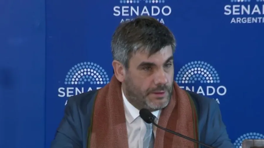 Juan Ignacio Lazzaneo: “La representación gratuita no deja afuera a las víctimas” | Análisis - imagen de origen
