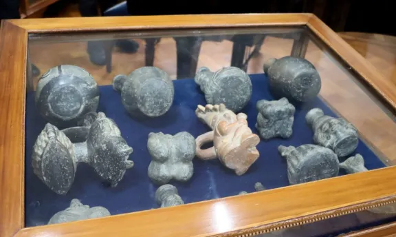 Entregaron a Perú valiosos fósiles secuestrados en el Museo Ovni de Victoria - imagen de origen