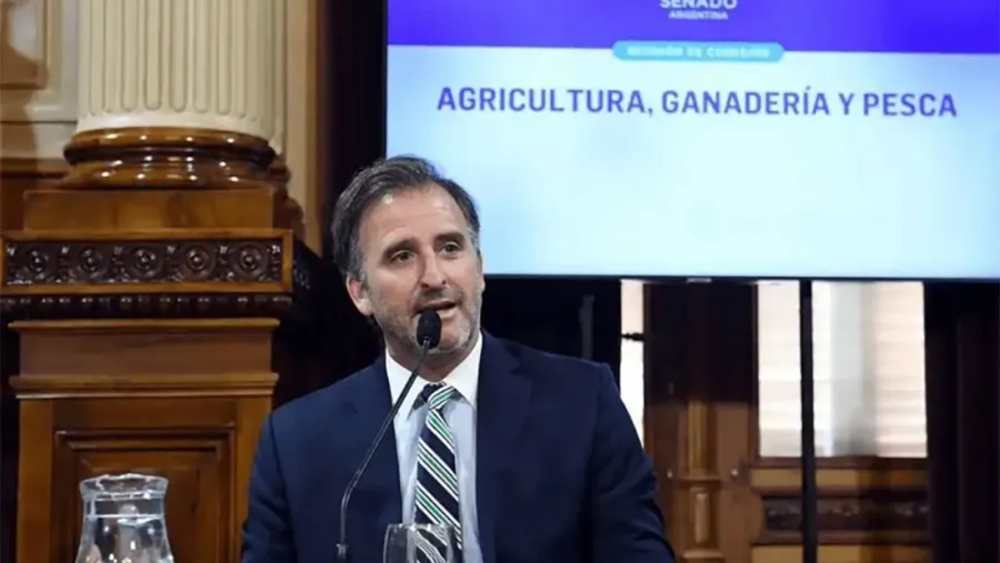 Al igual que Adorni, Joaquín Benegas Lynch ingresó al régimen simplificado de la Ley de Inocencia Fiscal | Análisis - imagen de origen