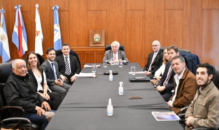 El partido local “Sentido Común y Lógica” recibió su reconocimiento jurídico-político provisorio - imagen de origen