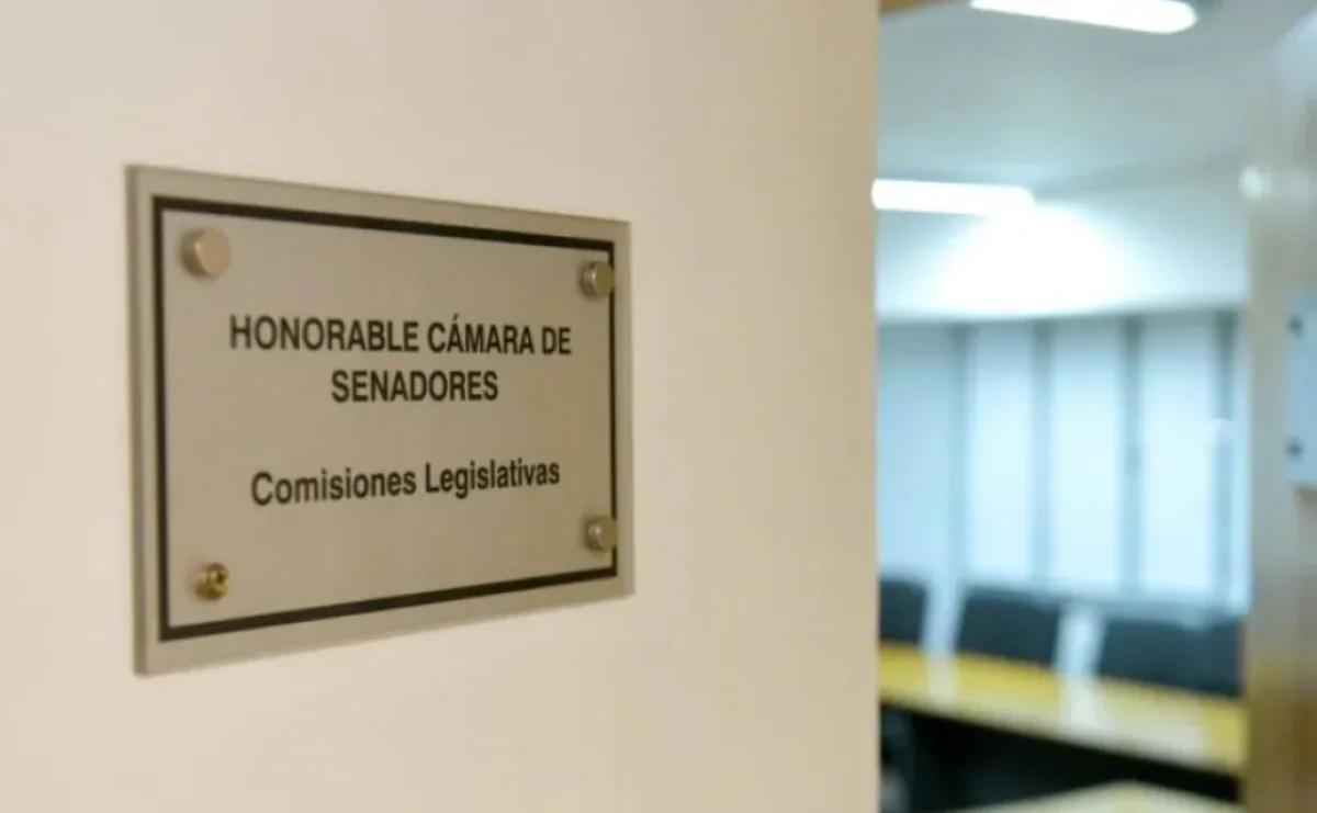 Este miércoles el Senado comenzará a debatir la reforma jubilatoria - imagen de origen