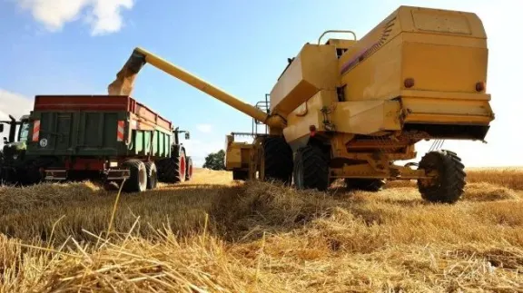 La agroindustria sostiene la economía de Entre Ríos ante un mercado laboral que no arranca - imagen de origen