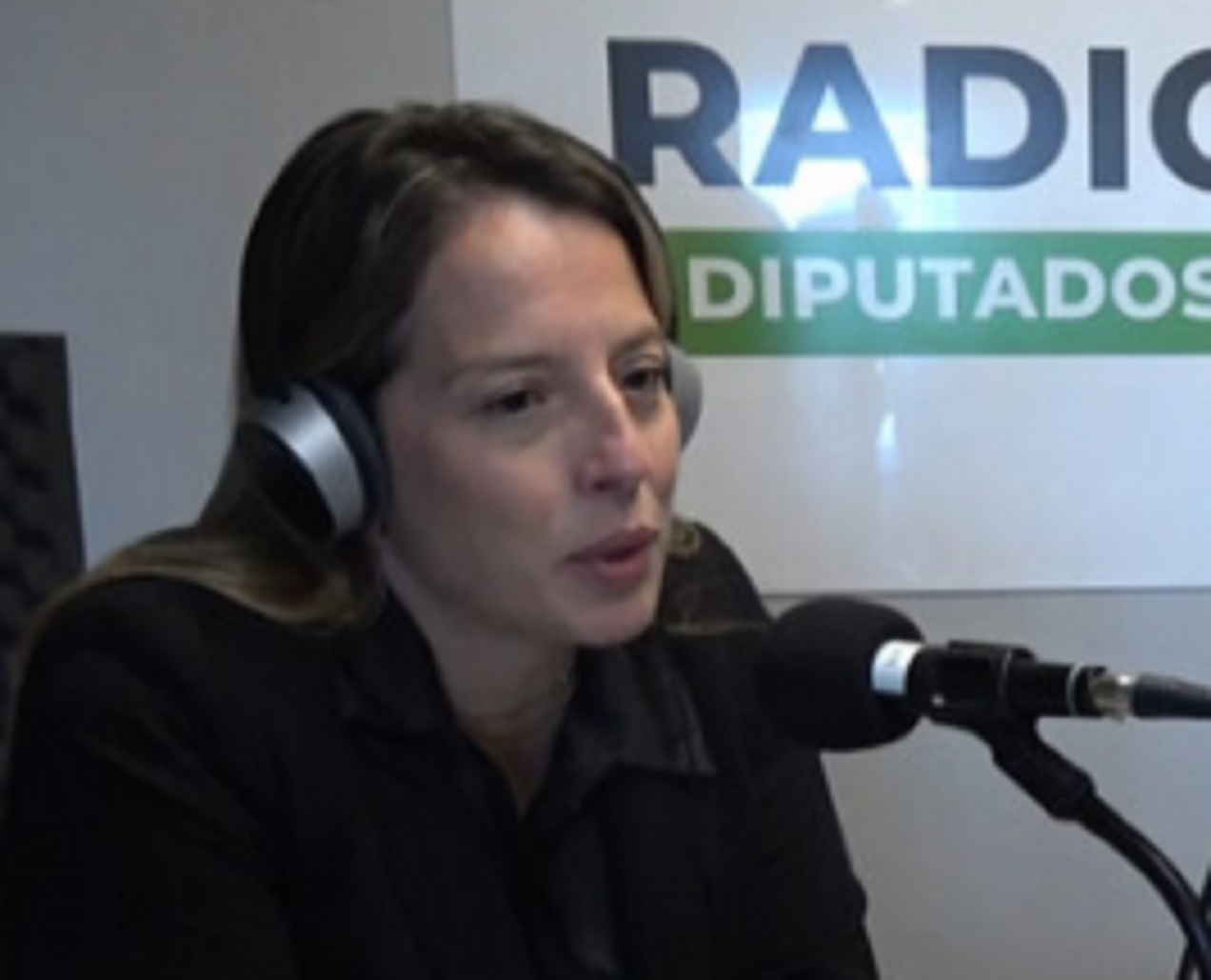 A 11 años del Ni una Menos, Diputados renueva su compromiso con la prevención de la violencia de género - imagen de origen