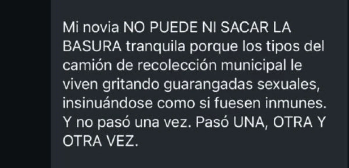 Denuncian reiteradas situaciones de acoso callejero por parte de recolectores de residuos - imagen de origen