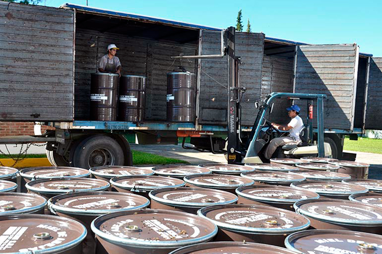 Polémica en el Mercosur: se agotó en 4 días el cupo para exportar miel con arancel cero a Unión Europea - Noticias - Elentrerios.com - imagen de origen