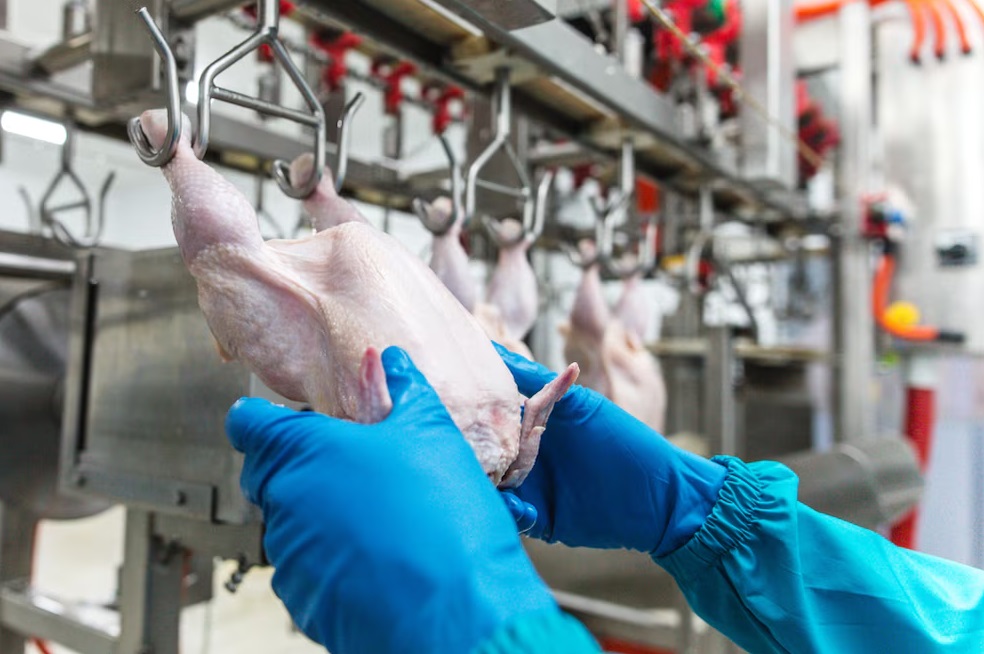 Economía entrerriana, con realidades distintas: crece la agroindustria, pero el mercado laboral e industrial presenta debilidades, según el CEER - Dos Florines - imagen de origen