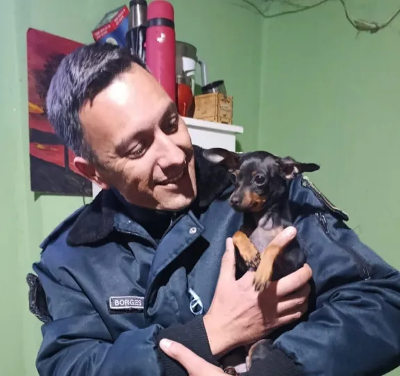 Rescataron a un perrito tras la viralización de un video por presunto maltrato animal en Paraná - imagen de origen