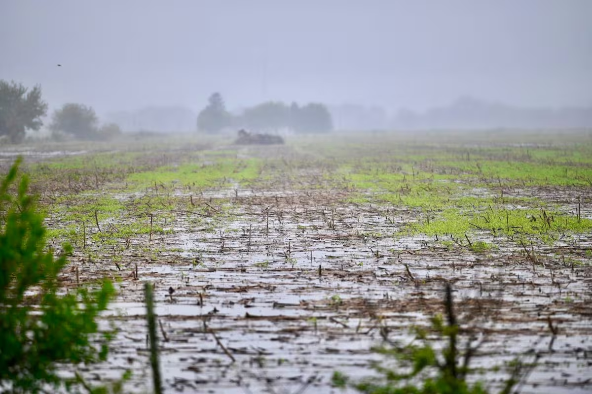 Advierten que el fenómeno "El Niño" será muy fuerte: cuándo impactará en la provincia - imagen de origen
