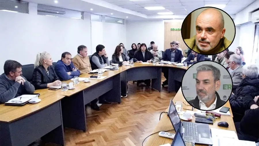Bagnat y Boleas defenderán mañana en el Senado el proyecto de reforma previsional | Análisis - imagen de origen