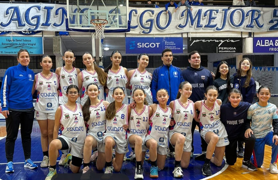Básquet Femenino: Parque Sur subcampeon provincial en Infantiles - imagen de origen