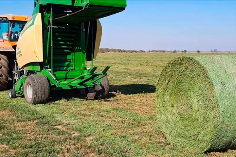 Fatal accidente laboral: murió trabajador aplastado por un rollo de alfalfa - imagen de origen