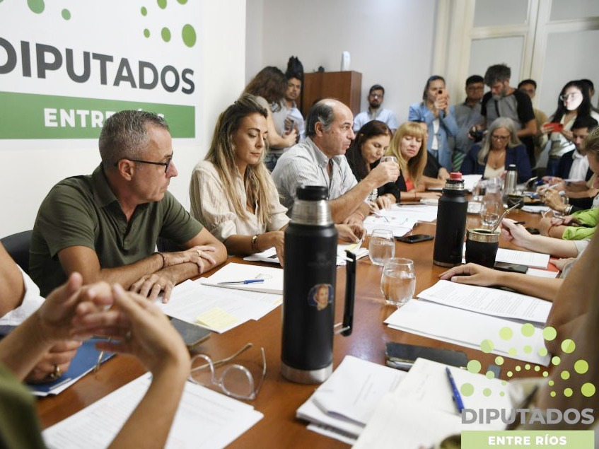 Diputados avanza en la regulación del juicio político tras años sin definiciones - imagen de origen