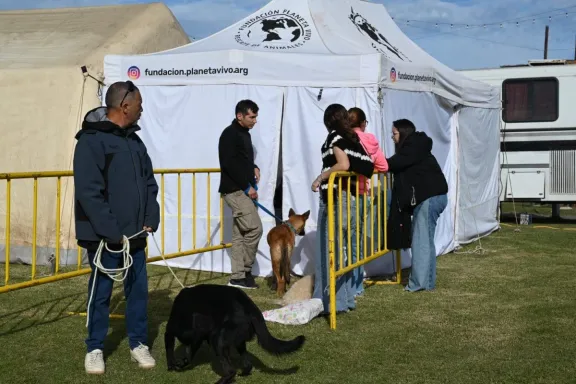 Bienestar animal: un centenar de animales ya fueron atendidos en el Guanimal Day - imagen de origen