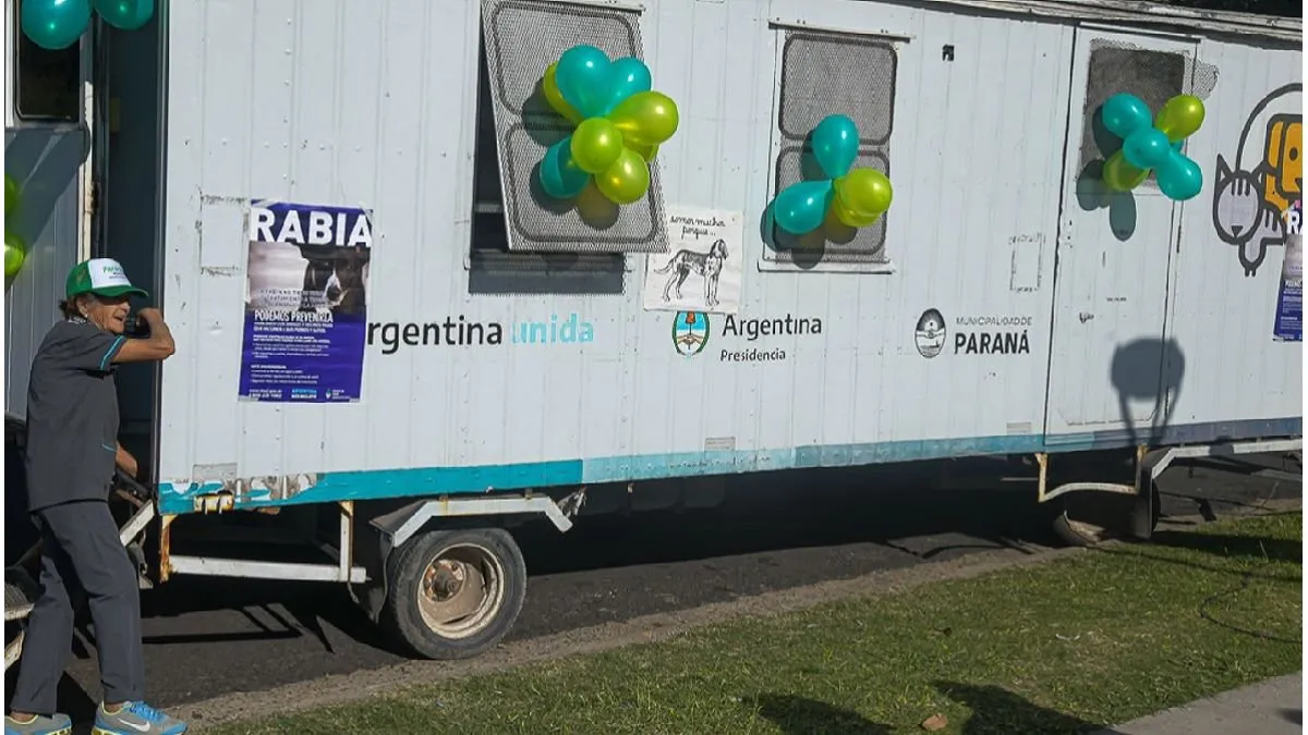 El operativo de castraciones llega a más barrios de Paraná - imagen de origen