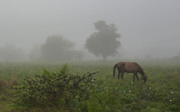 La Provincia prepara un plan de contingencia ante la llegada de El Niño: para cuando se anuncian las lluvias fuertes - imagen de origen