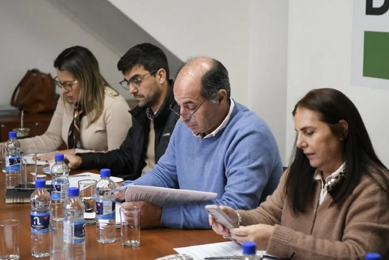 Juicio Político y desarrollo territorial, ejes del trabajo de comisiones de Diputados - imagen de origen