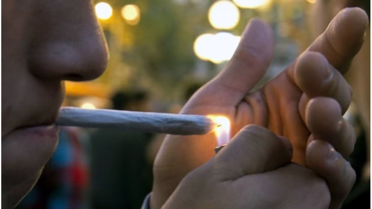 Marihuana: crece el consumo en los jóvenes y alertan por daños cognitivos - imagen de origen