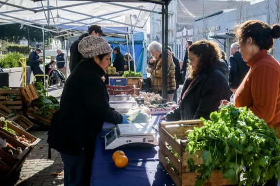Paraná: la Feria en tu Barrio suma nuevos puntos fijos y se abre la convocatoria a emprendedores - imagen de origen