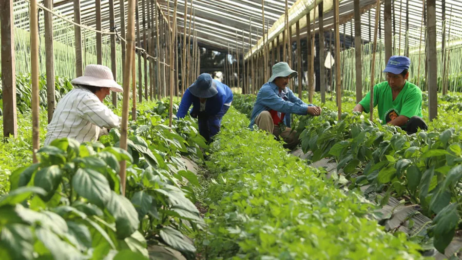La reforma sobre propiedad privada genera alertas en sectores de la producción argentina | Análisis - imagen de origen