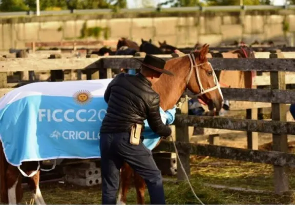 SENASA certificó el traslado y retorno de 62 caballos por el paso Gualeguaychú-Fray Bentos - imagen de origen