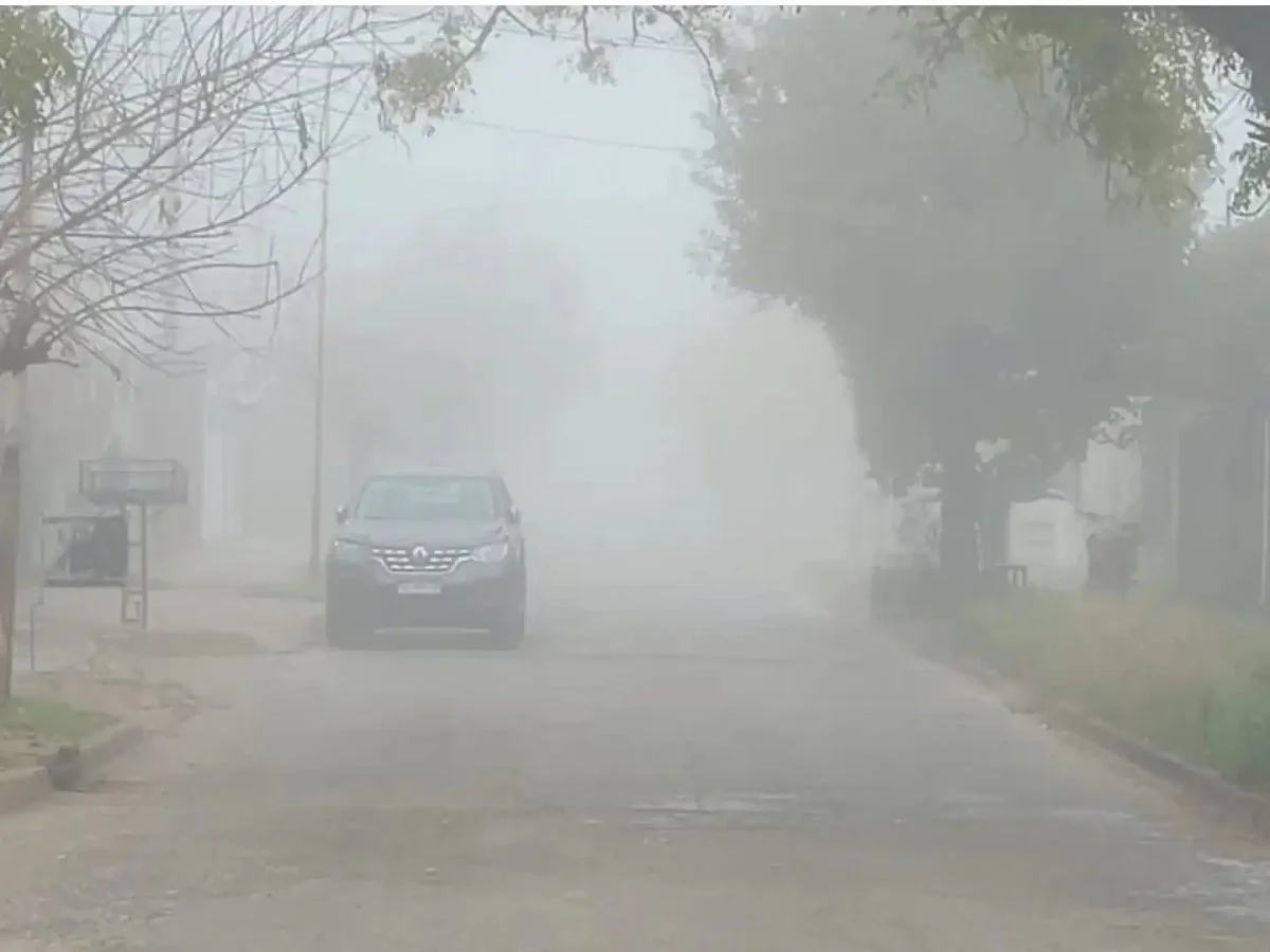 Alerta violeta por niebla en Entre Ríos: advierten por "bancos persistentes" este martes - imagen de origen