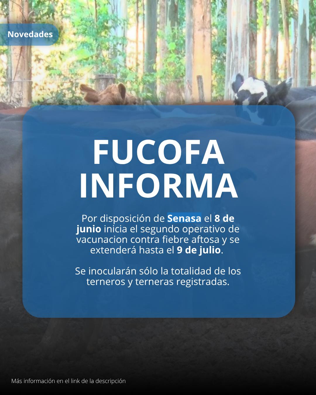 Senasa ordenó vacunar contra fiebre aftosa desde este 8 de junio - imagen de origen