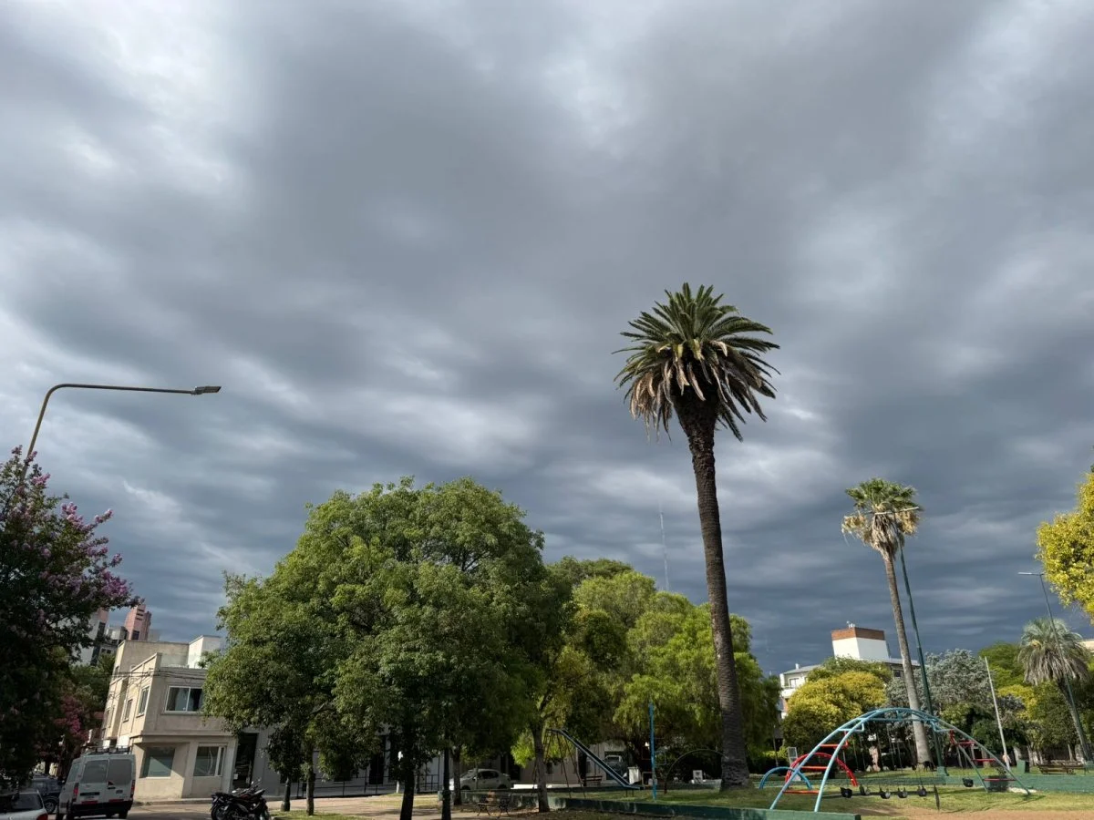 Domingo fresco, con lloviznas y máxima de 15 grados en Concepción del Uruguay - imagen de origen