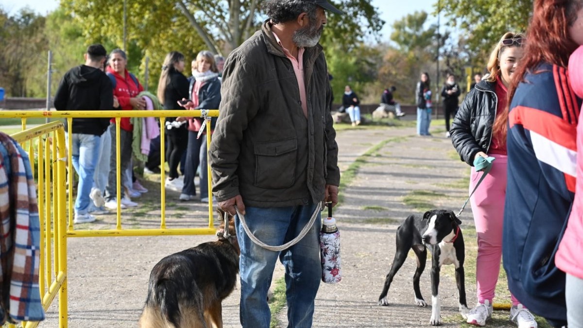 Se realiza el "Guanimal Day" en el Mercado del Munilla - imagen de origen