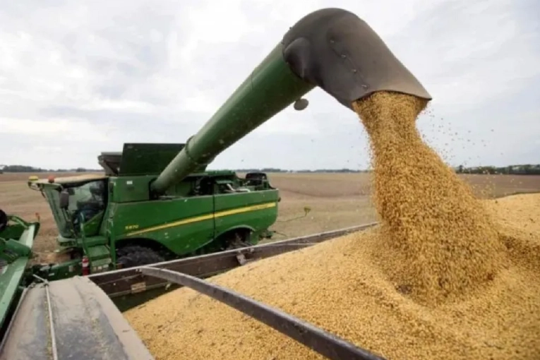 La sequía golpeó al sudeste: la producción de soja en Entre Ríos cayó un 22% en la última campaña - imagen de origen