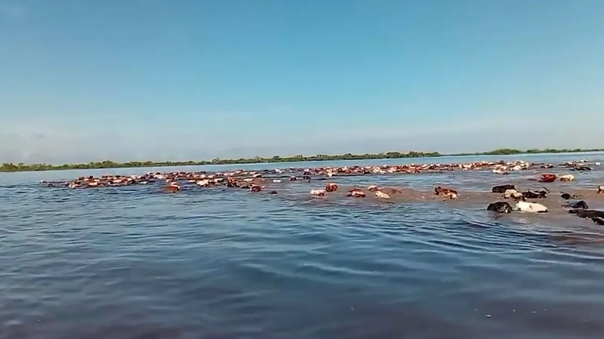La Provincia coordina acciones con municipios ante el impacto fluvial de El Niño - imagen de origen