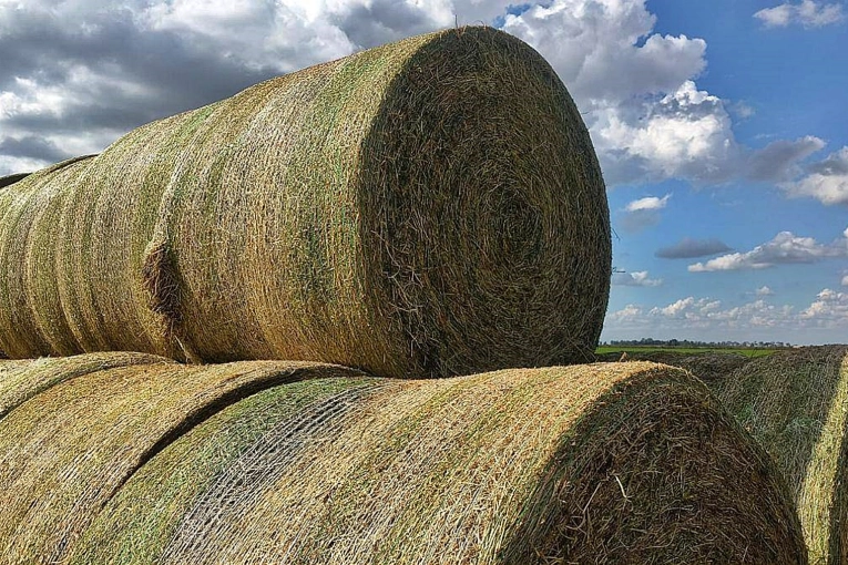 TRÁGICO: Realizaba tareas rurales y murió aplastado por un rollo de alfalfa - imagen de origen