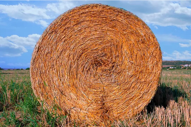 Murió un trabajador aplastado por un rollo de alfalfa en Gualeguay - Informe Digital - imagen de origen