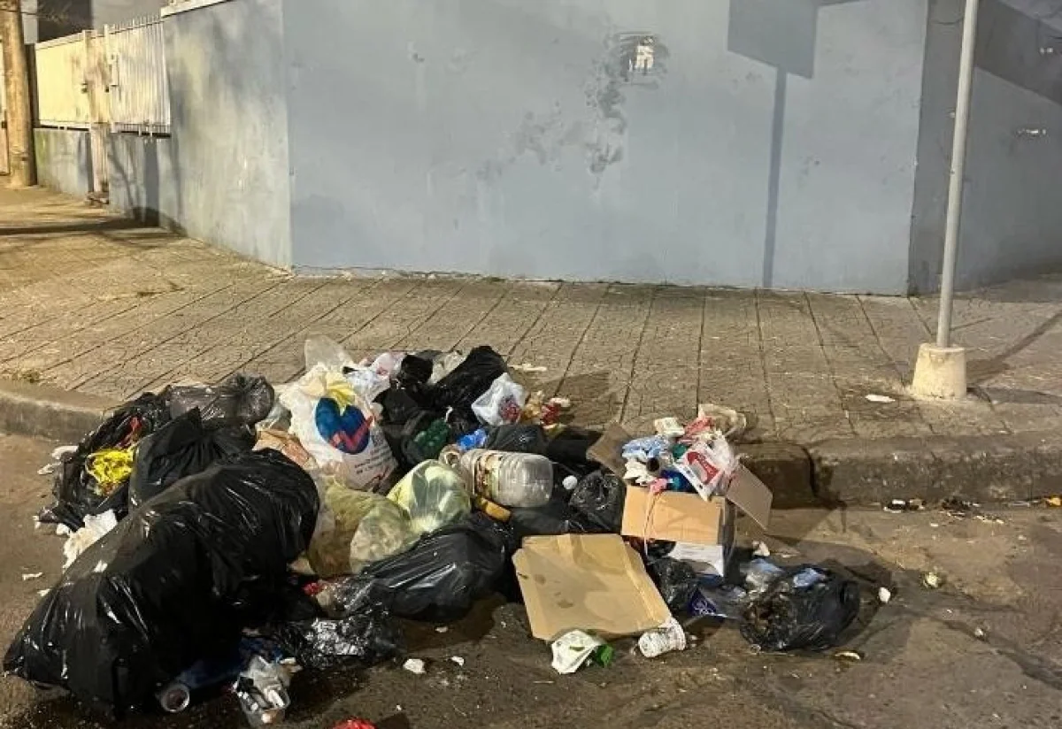 Preocupación vecinal por la formación de un minibasural en Dra. Ratto y Artigas - imagen de origen