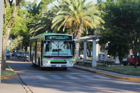 Crisis en el transporte urbano: Fatap pidió medidas urgentes ante un fuerte riesgo de parate del servicio - imagen de origen