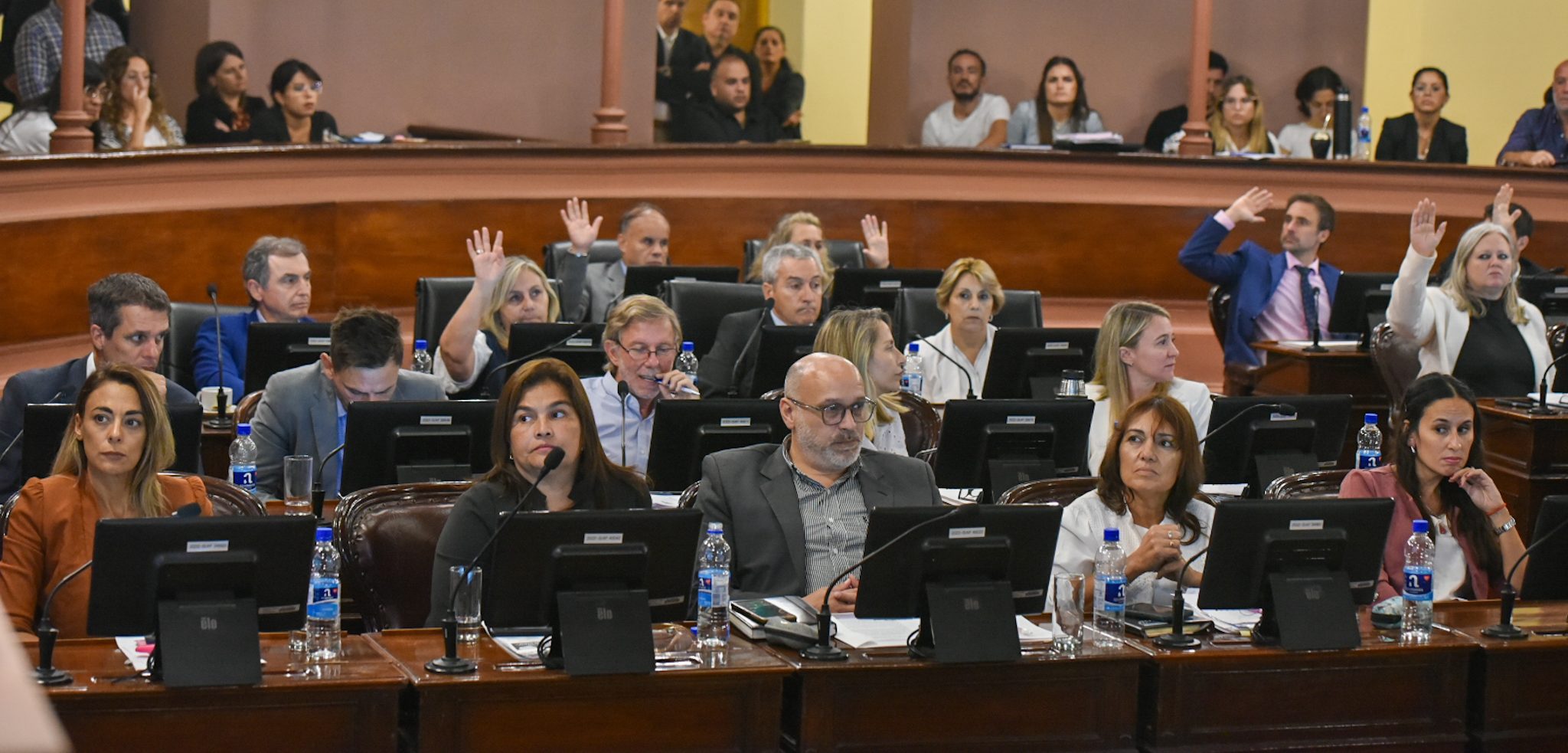 Diputados del PJ exigen revisar la conducta de las bancas que se alejan del mandato partidario - imagen de origen