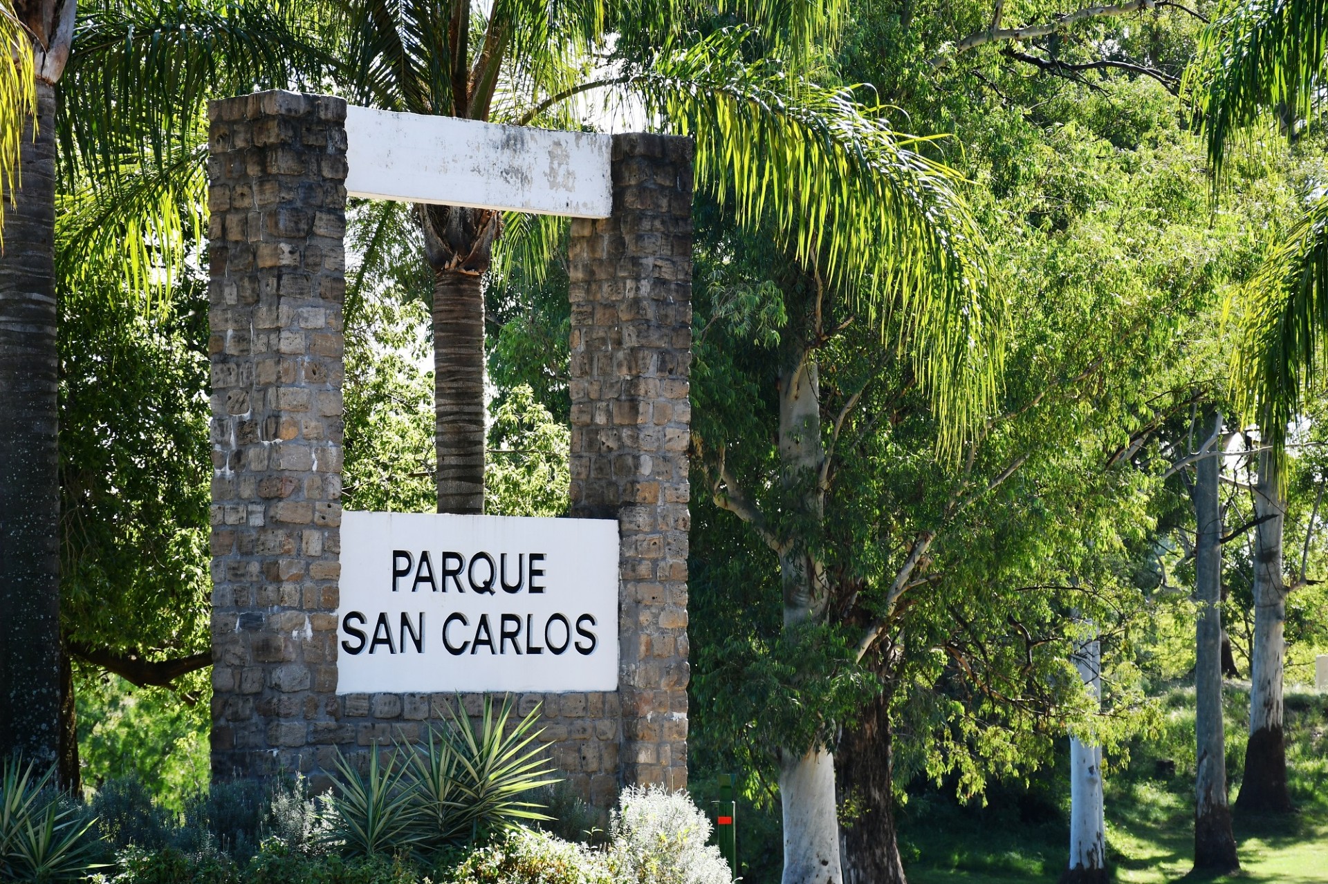 Avanzan los trabajos de recuperación ambiental en el Parque San Carlos de Concordia - 7PAGINAS - imagen de origen