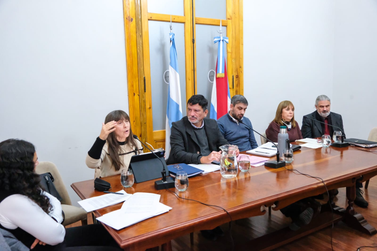 Las objeciones de UPCN y APS - imagen de origen