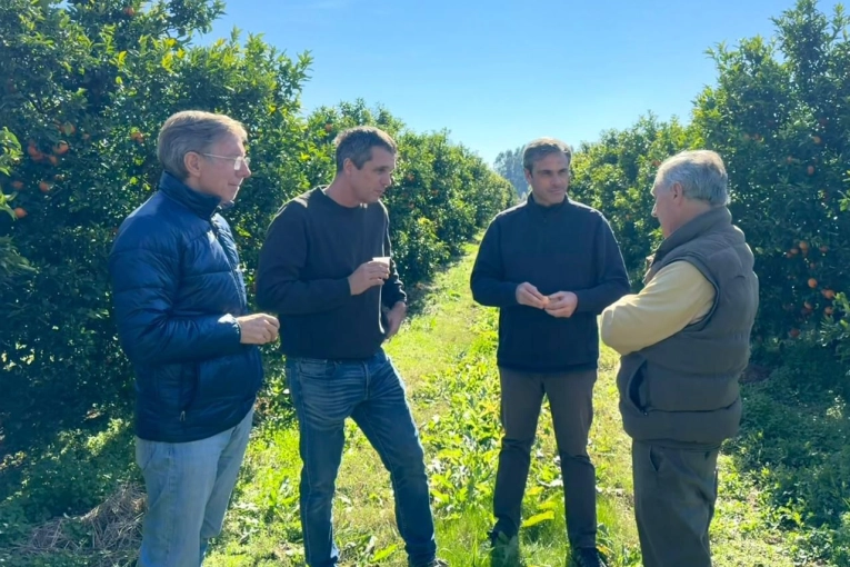 La crisis del sector citrícola fue analizada por productores con Michel, Cresto y Bahillo - imagen de origen