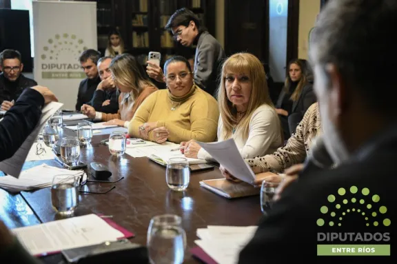 Diputados definió dictámenes para impulsar el desarrollo regional y el deporte - imagen de origen