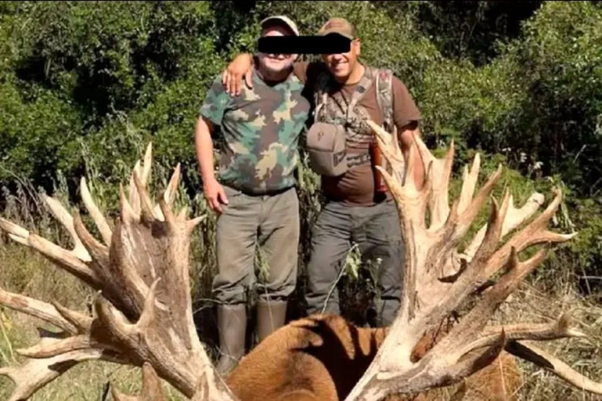 Investigan presunto tráfico de fauna tras la caza de un ciervo por el que habrían pagado US$40.000 - imagen de origen