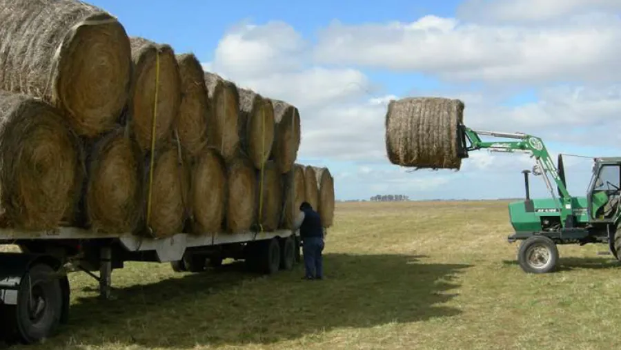 Un trabajador rural falleció tras ser aplastado por un rollo de alfalfa en Galarza | Análisis - imagen de origen
