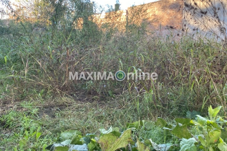 “Es una selva”: Vecinos de calle Paraguay reclaman por un terreno abandonado - imagen de origen